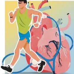 Salud cardiovascular: un paseo de 20 minutos beneficia a todo el cuerpo