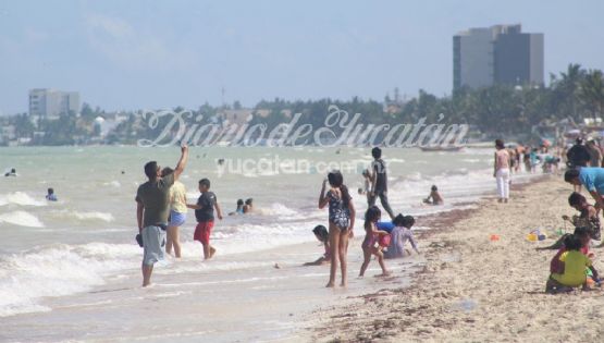 Quintana Roo. ¿Cuáles son las playas libres de sargazo hoy, lunes 17 de abril de 2023?