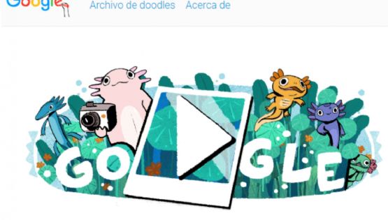 Lago de Xochimilco y ajolotes, en el doodle de Google: este es el motivo