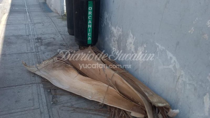 Basura acumulada en calles del centro de Mérida