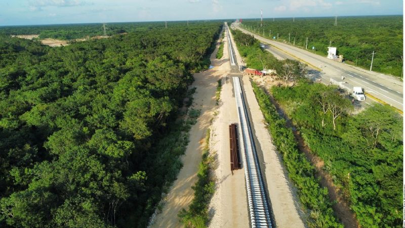 Otorgan suspensión contra tala injustificada para el Tren Maya en la Península de Yucatán