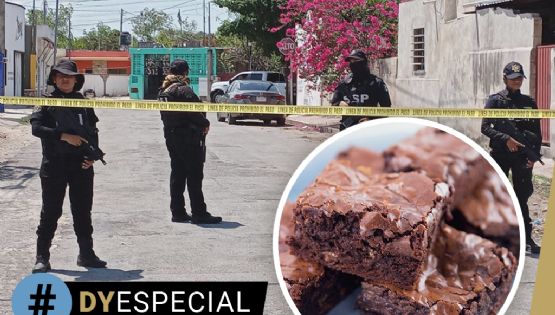Brownies mágicos en Yucatán: ¿cuáles son sus efectos y riesgos?